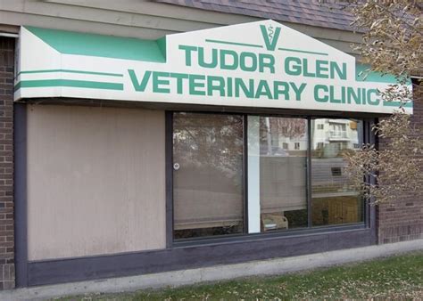 tudor glen vet clinic|st albert animal clinic.